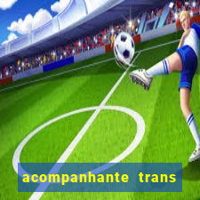 acompanhante trans porto seguro